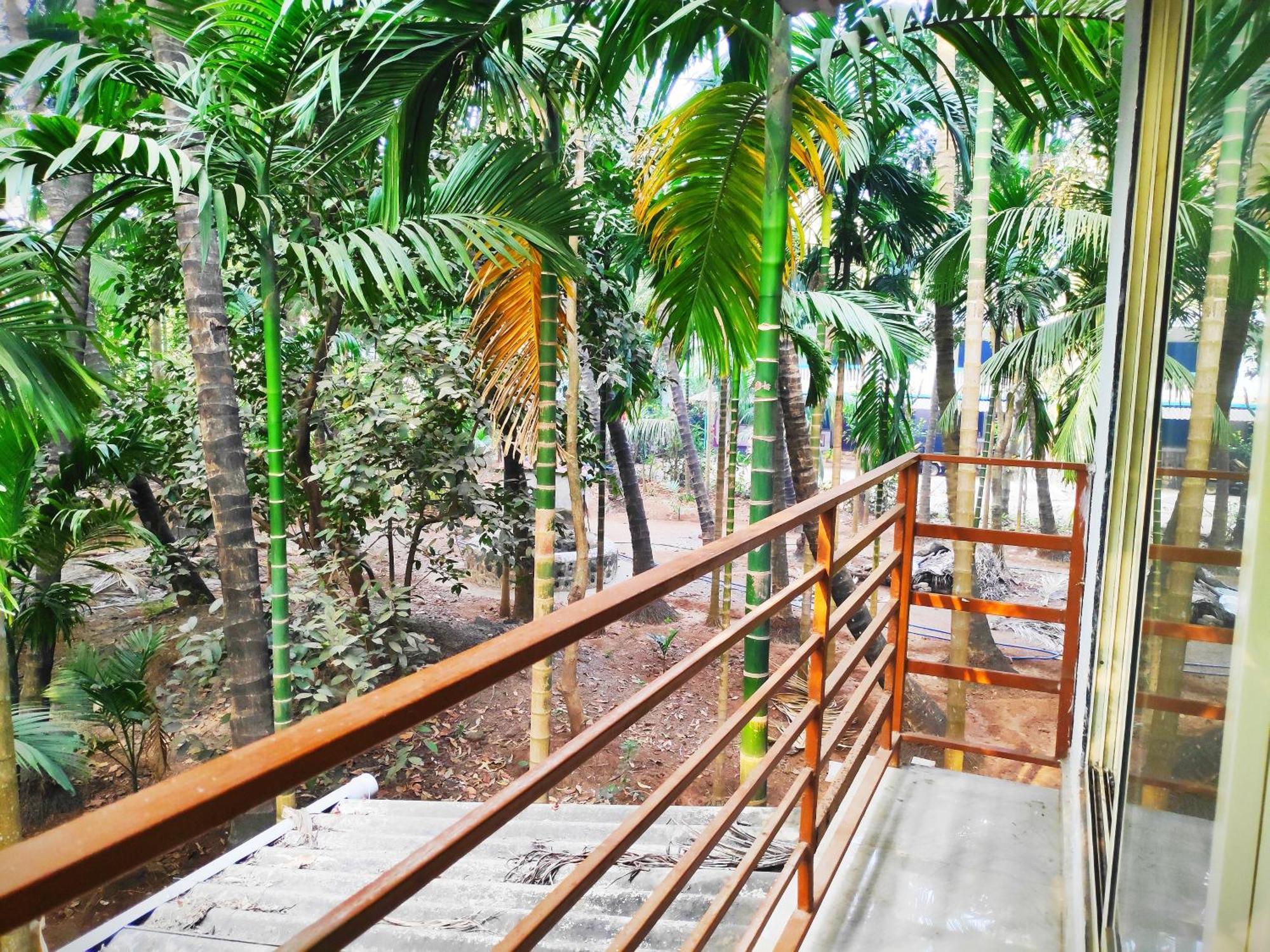 Ashish Baug Cottage Alībāg Rom bilde